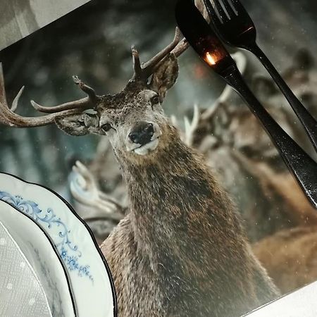 ウイエ Lesse En Ciel Vous Accueille Avec Plaisir .ヴィラ エクステリア 写真