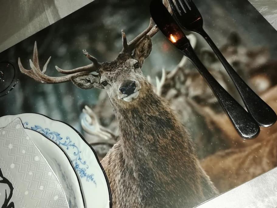 ウイエ Lesse En Ciel Vous Accueille Avec Plaisir .ヴィラ エクステリア 写真
